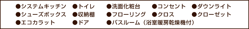 ●システムキッチン　●トイレ　●洗面化粧台　●コンセント　●ダウンライト ●シューズボックス ●収納棚 ●フローリング ●クロス ●クローゼット ●エコカラット ●ドア ●バスルーム（浴室暖房乾燥機付）